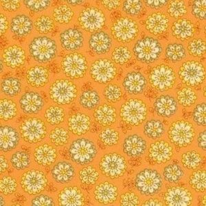 Meet your Posher, Evie